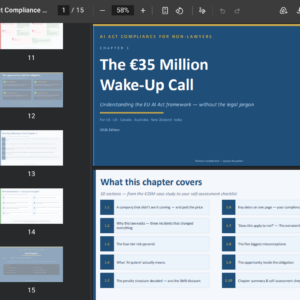 screenshot chapter 1 ai act ebook