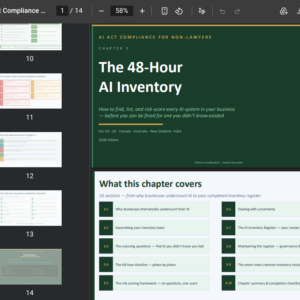 screenshot chapter 3 ai act ebook