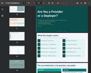 ai act chapter 2 pdf ebook and audio the crucial distinction between provider and deployer